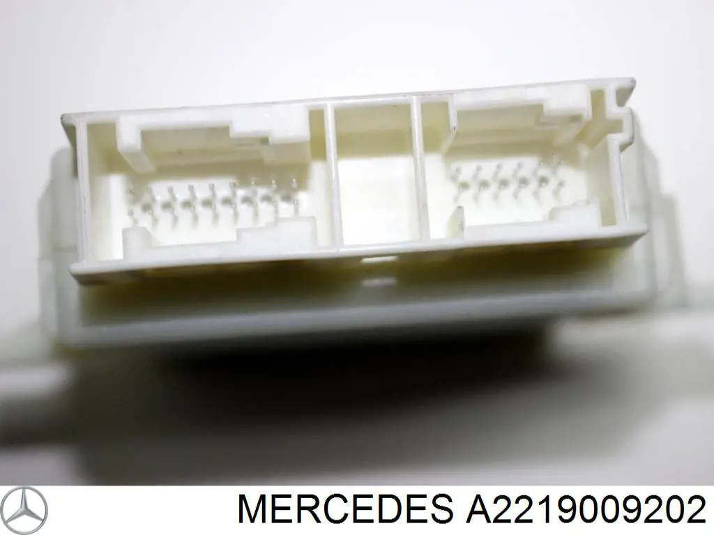 Купить A2219009202 Mercedes 