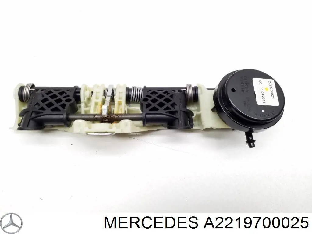 2219700025 Mercedes 