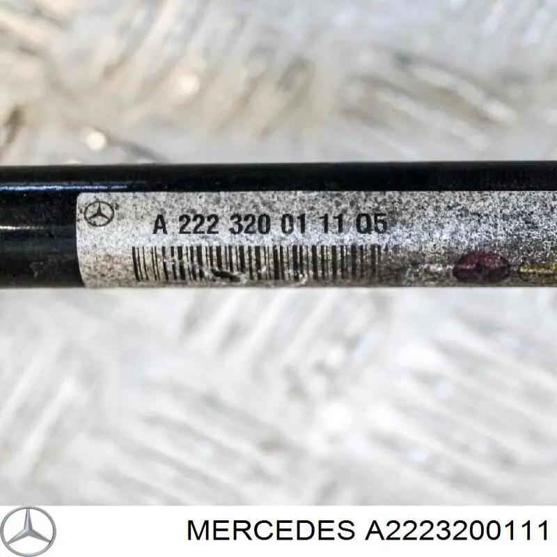 A2223200111 Mercedes 