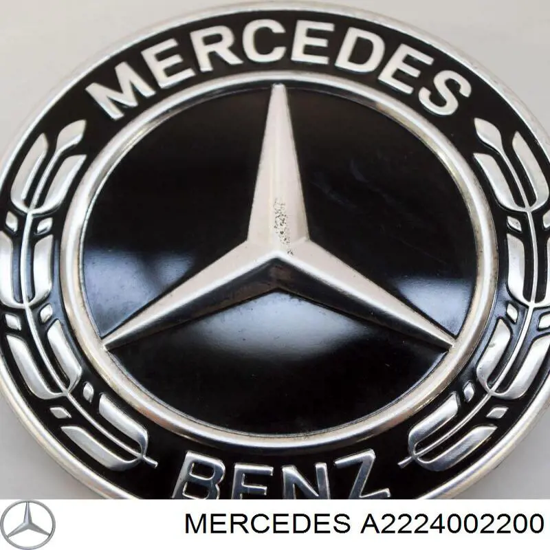 Купить 2224002200 Mercedes Колпаки