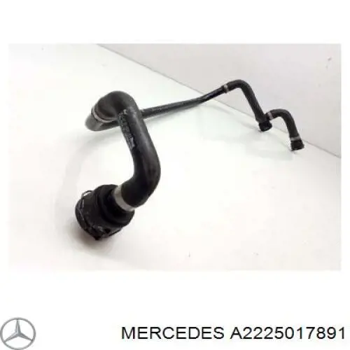  2225017891 Mercedes