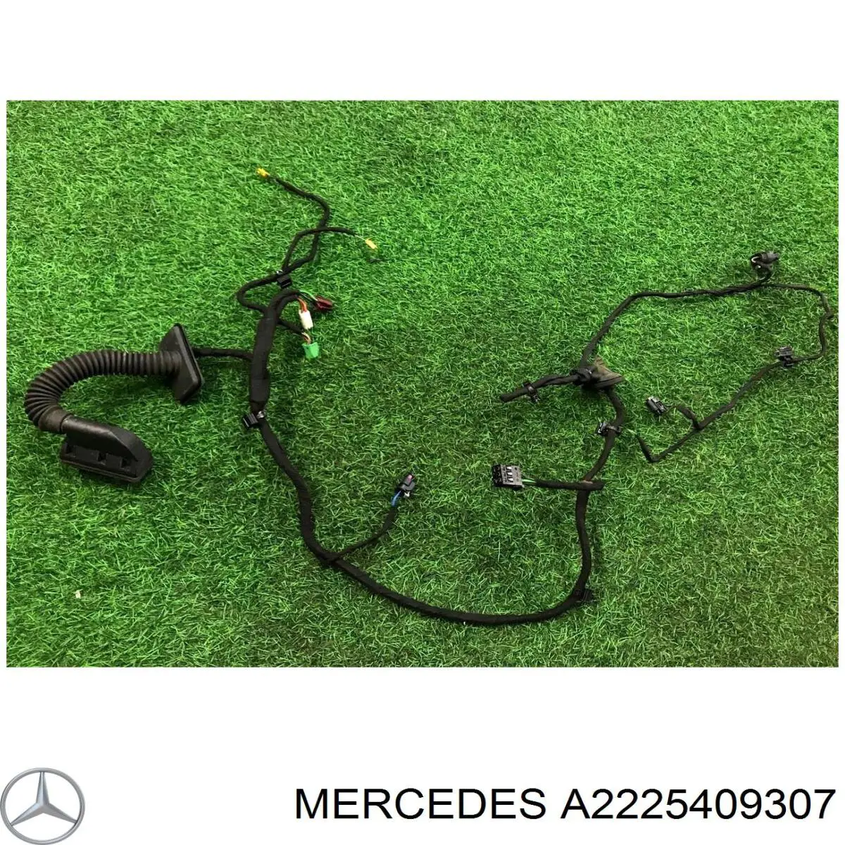 2225409307 Mercedes 
