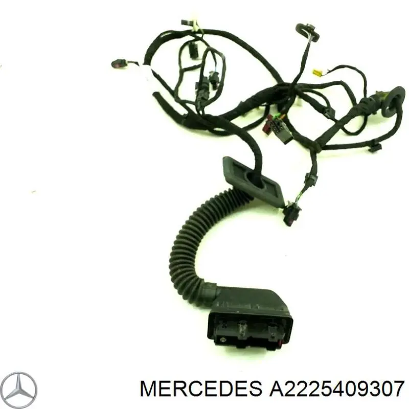  2225409307 Mercedes