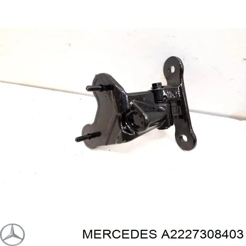 Дверной шарнир задний правый Mercedes A2227308403 цена, от 19.47 USD