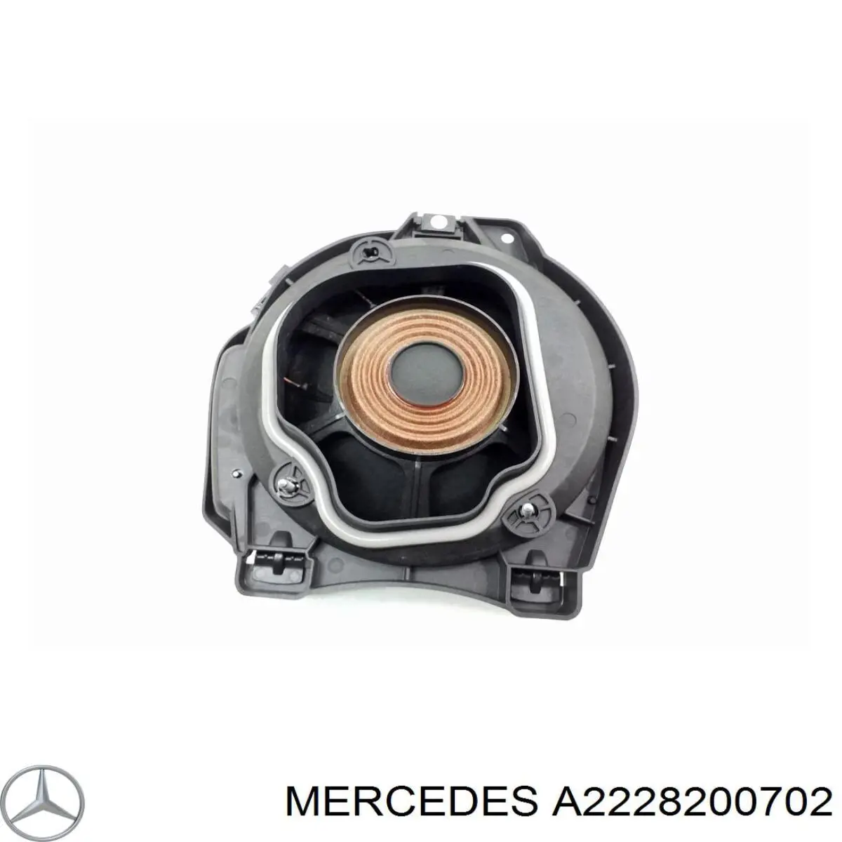A2228200702 Mercedes 