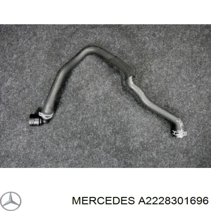  A2228301696 Mercedes