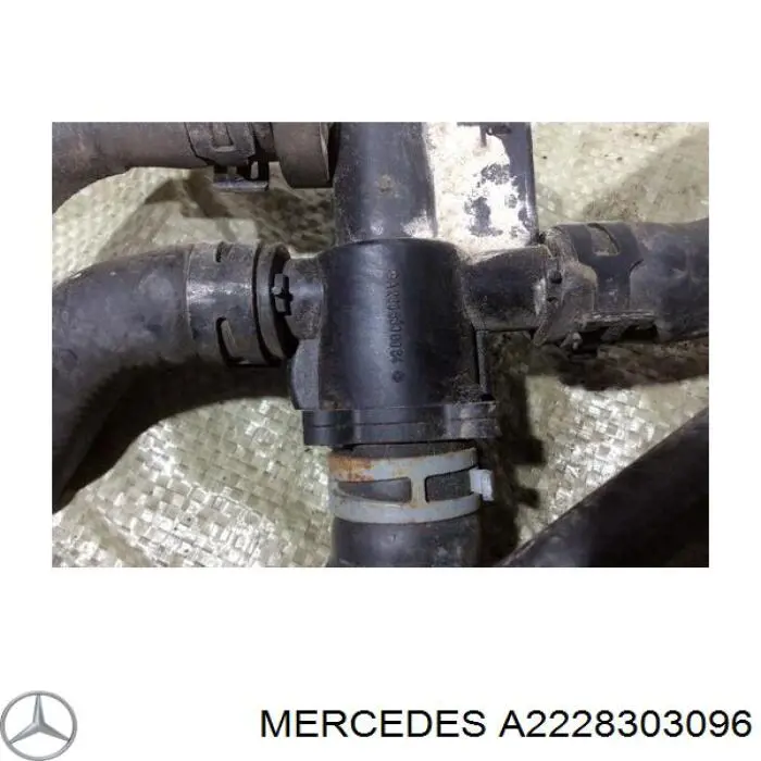Купить A2228303096 Mercedes 