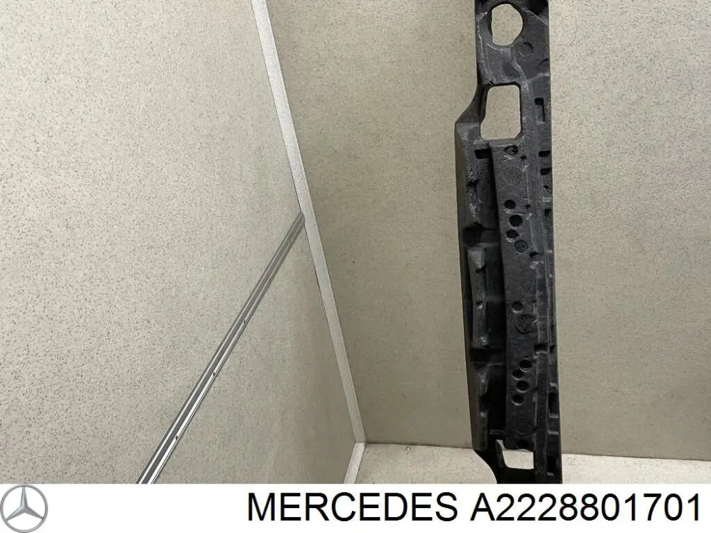 2228801701 Mercedes 