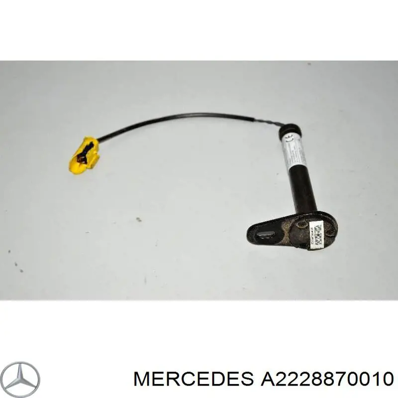  2228870010 Mercedes