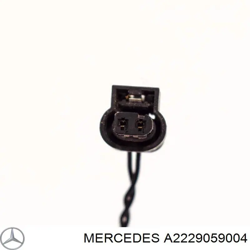  A2229059004 Mercedes