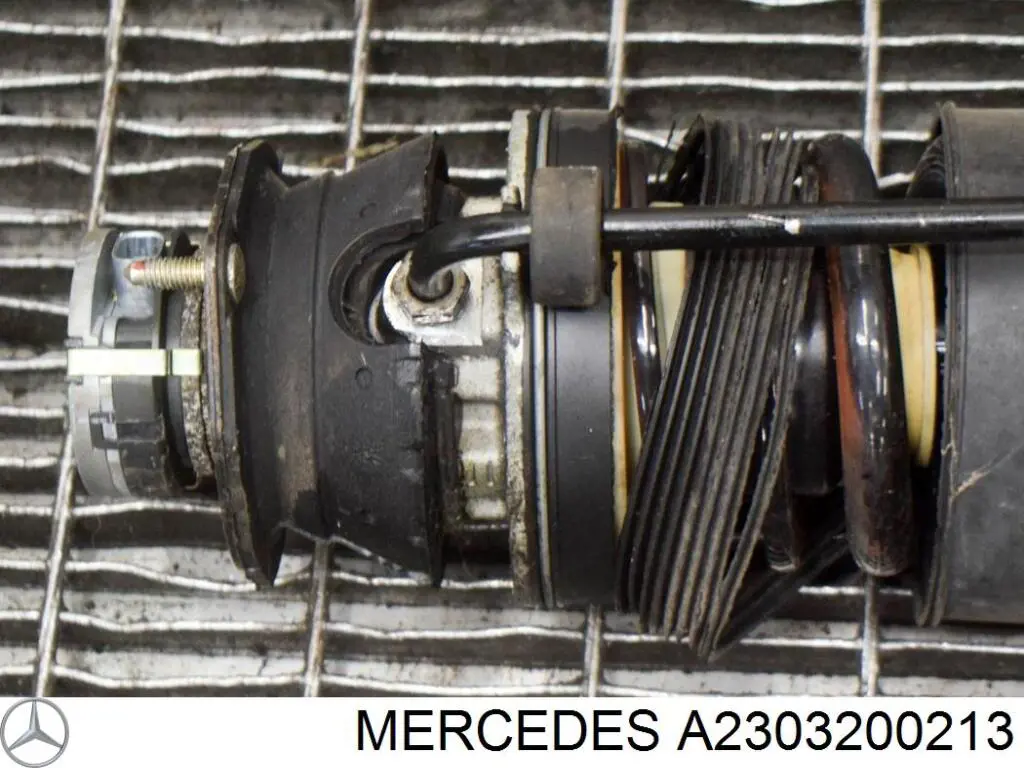 Купить A2303200213 Mercedes Амортизатор задний, левый