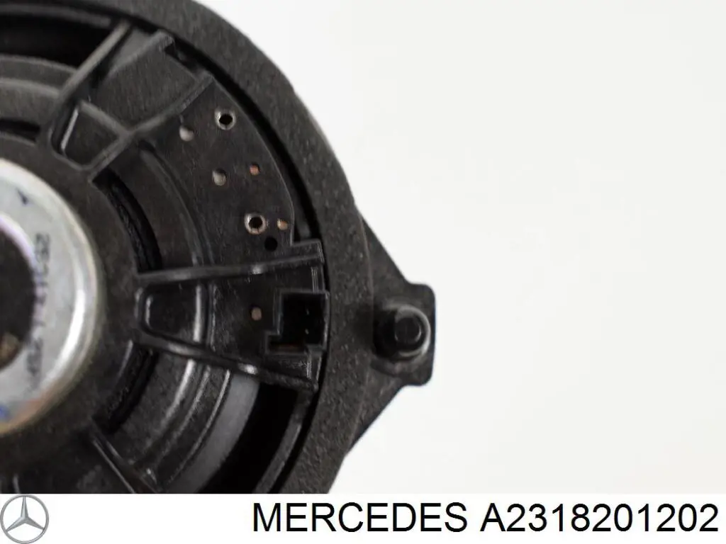  Mercedes A2318201202