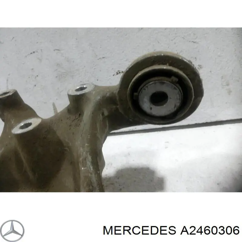 Цапфа - поворотный кулак задний, левый Mercedes A2460306 цена, от 54.18 USD