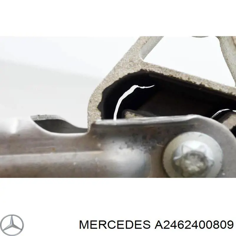 A2462400809 Mercedes