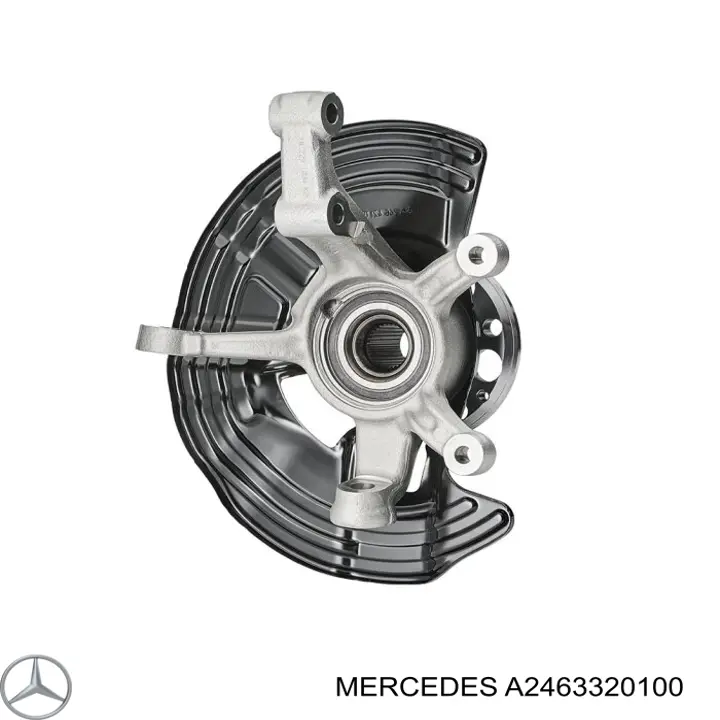 A2463320100 Mercedes 