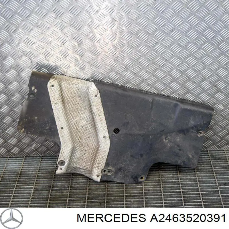 A2463520391 Mercedes 