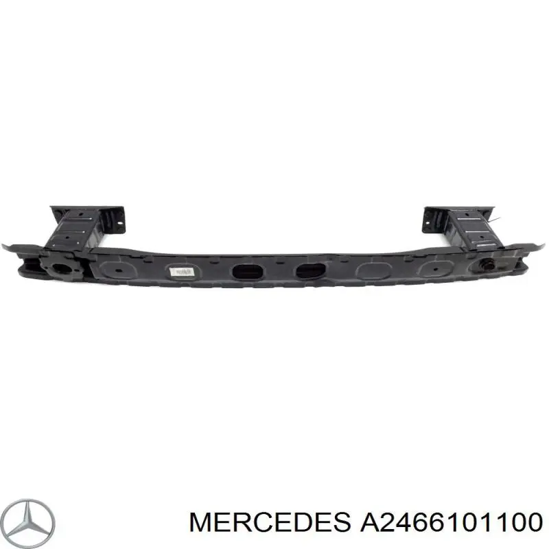  2466101100 Mercedes