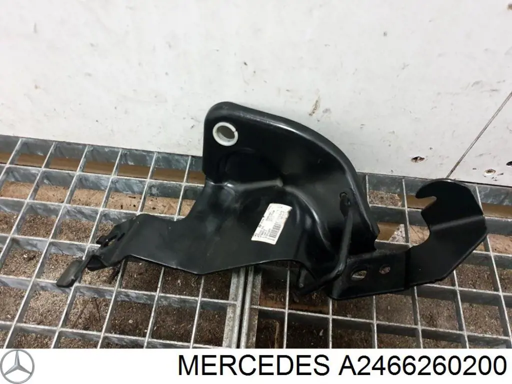 A2466260200 Mercedes 