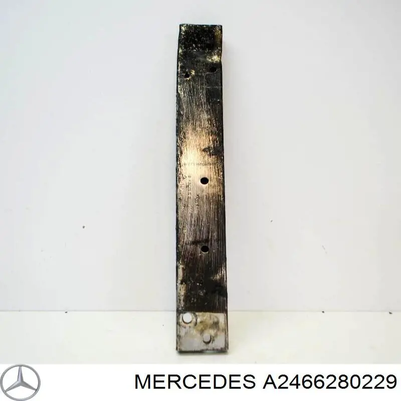 A2466280229 Mercedes 