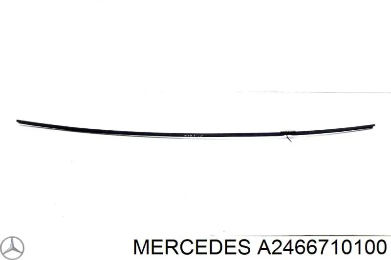 A2466710100 Mercedes 