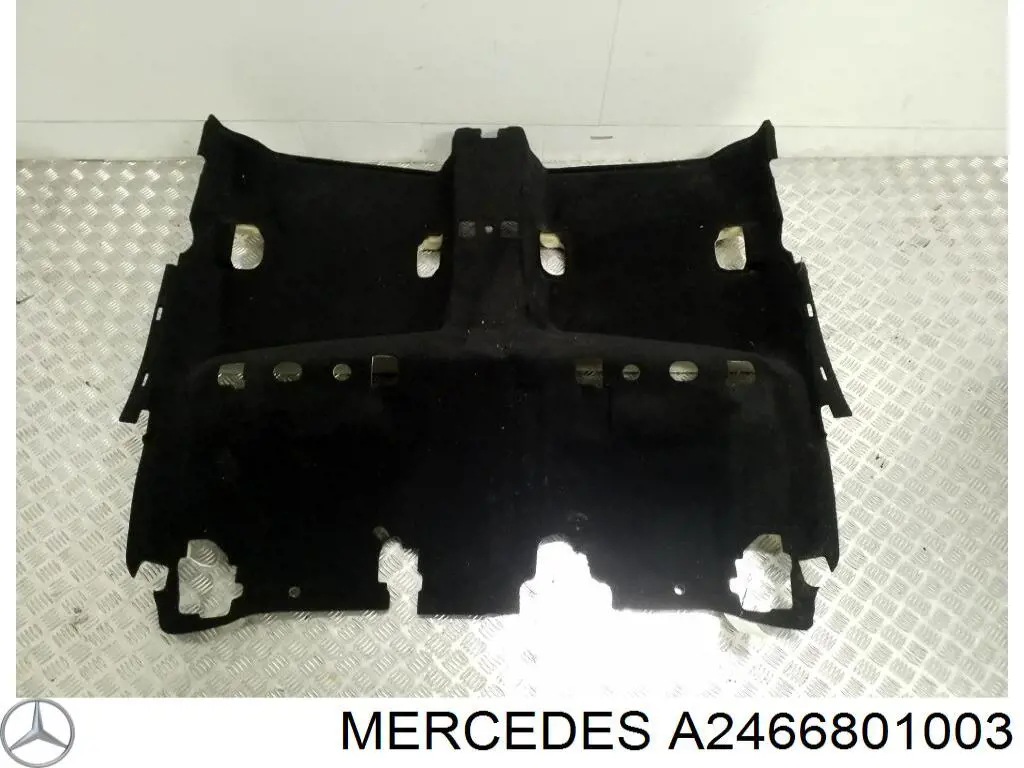 A2466801003 Mercedes 