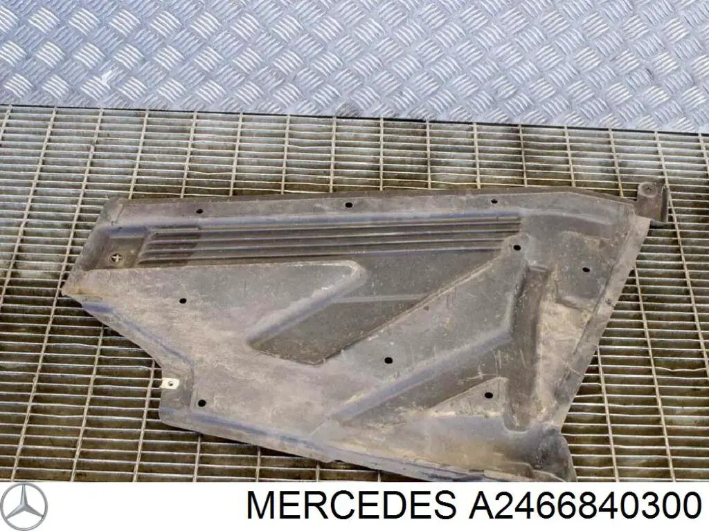  2466840300 Mercedes