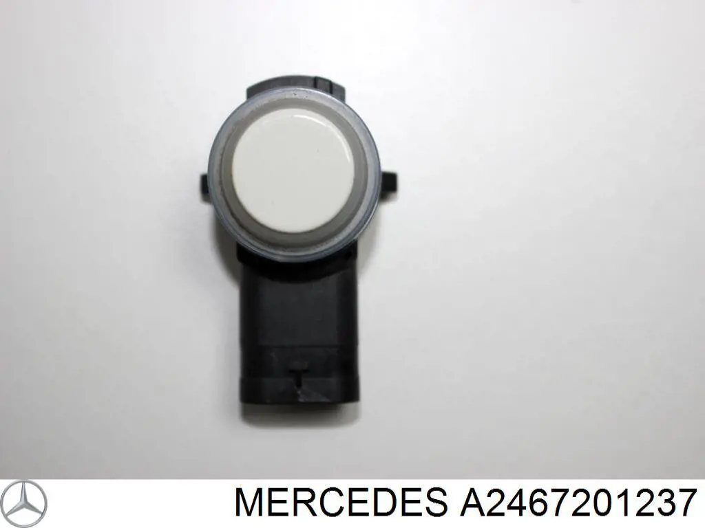 Петля передней двери, правой Mercedes A2467201237 цена, от 30.16 USD