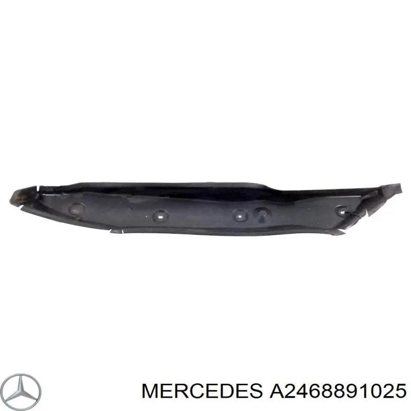 A2468891025 Mercedes 