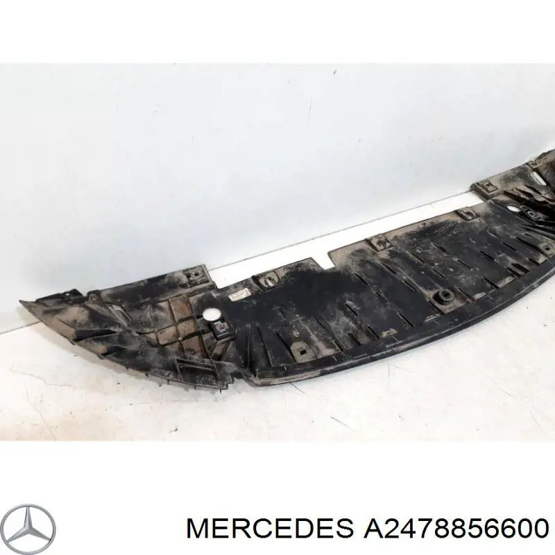  2478856600 Mercedes