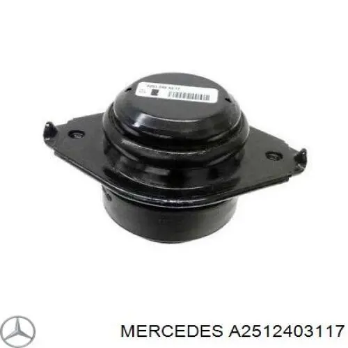 A2512403117 Mercedes coxim (suporte esquerdo/direito de motor)