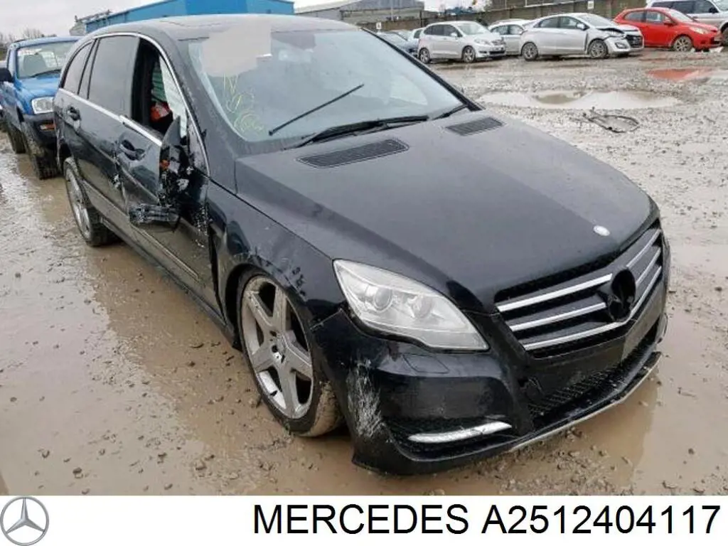 A2512404117 Mercedes подушка (опора двигателя левая/правая)