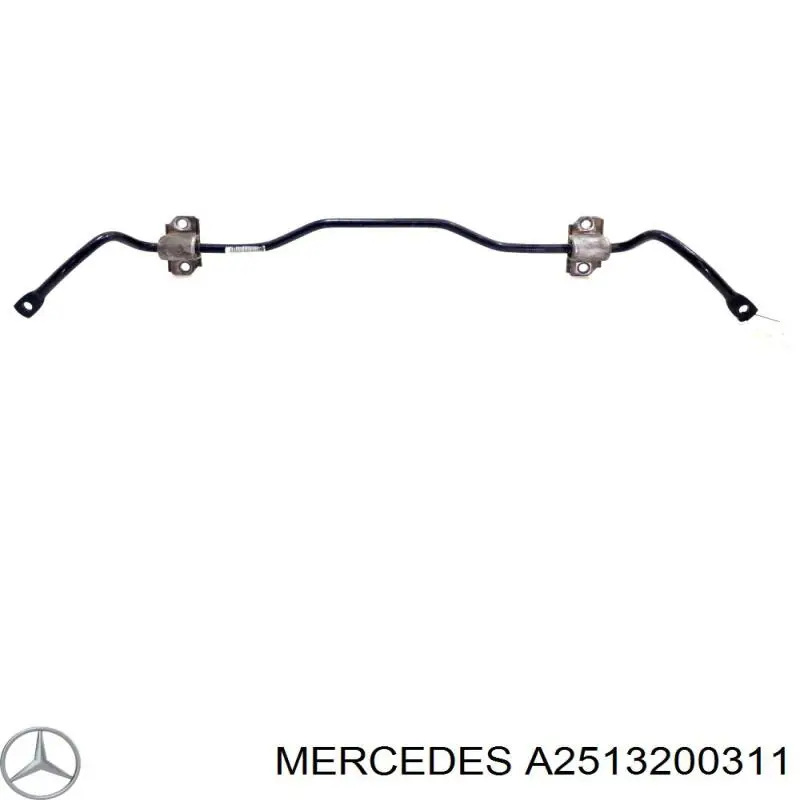 A2513200311 Mercedes 