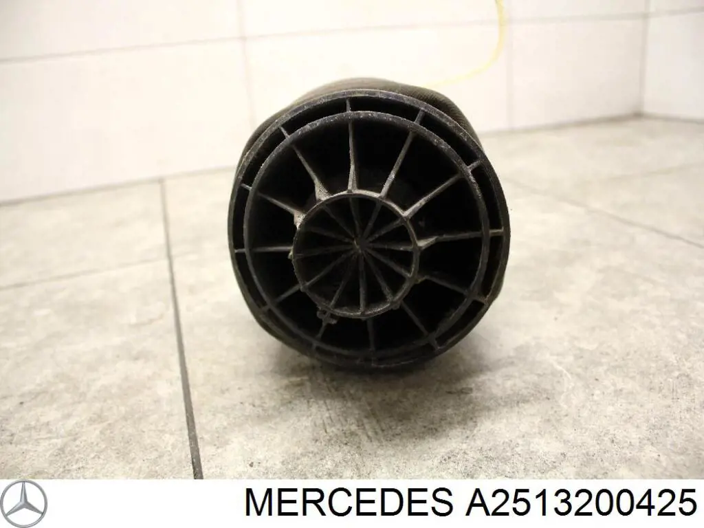 Пневмоподушка/пневморессора моста заднего Mercedes A2513200425 цена, от 120.36 USD