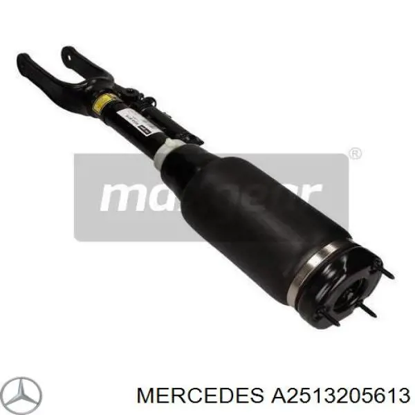 A2513205613 Mercedes амортизатор передний
