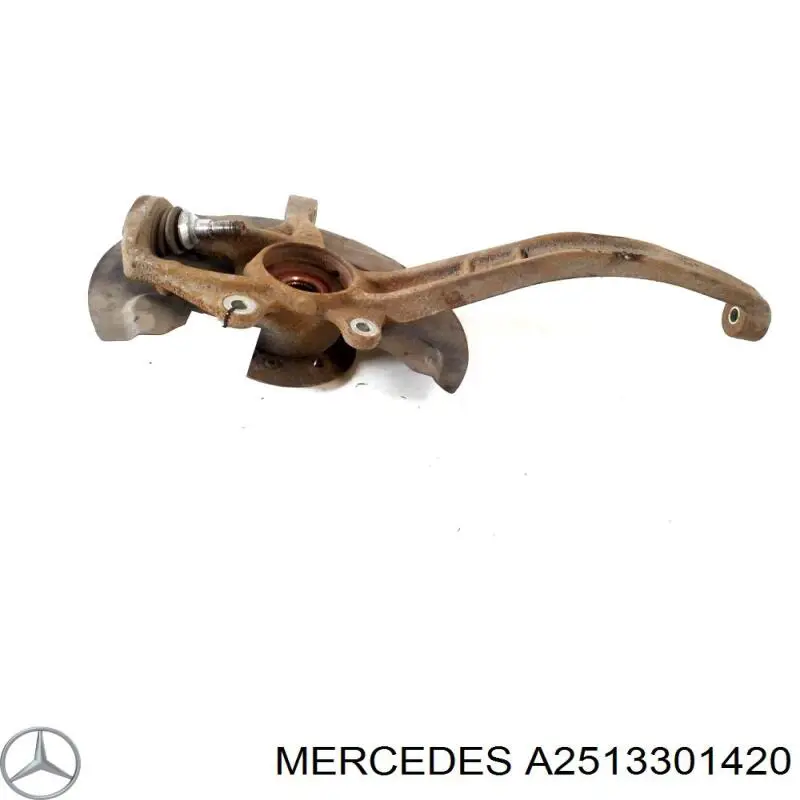  A2513301420 Mercedes