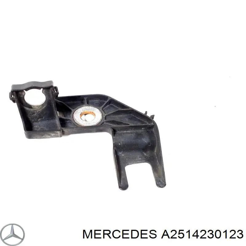  2514230123 Mercedes