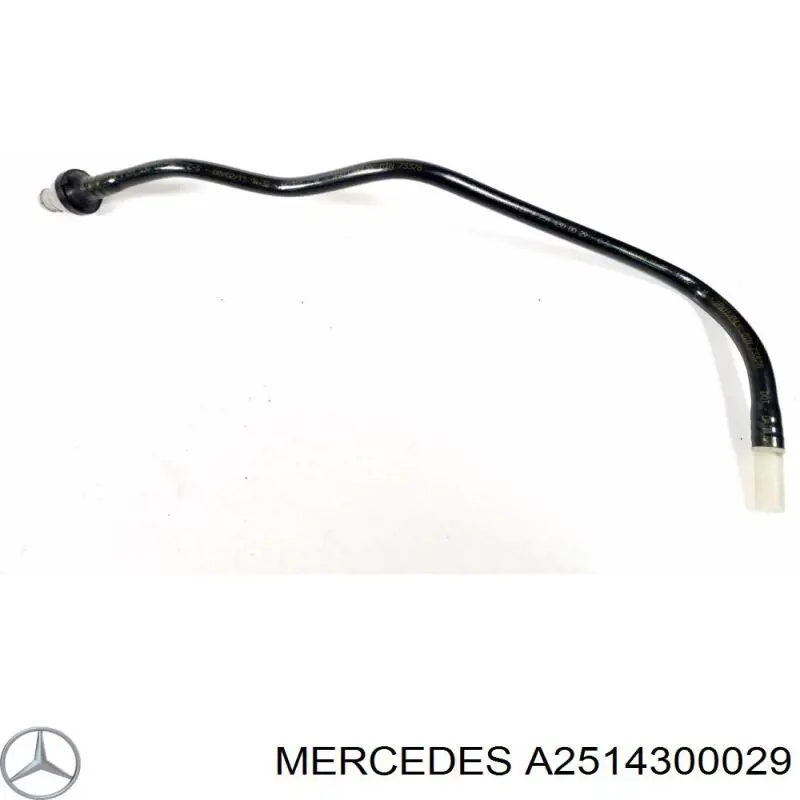  A2514300029 Mercedes