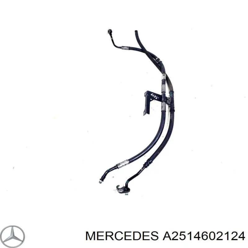 Купить A2514602124 Mercedes 
