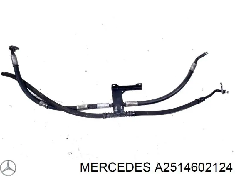 A2514602124 Mercedes 