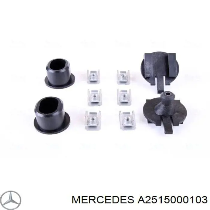 Купить A2515000103 Mercedes Радиатор водяной