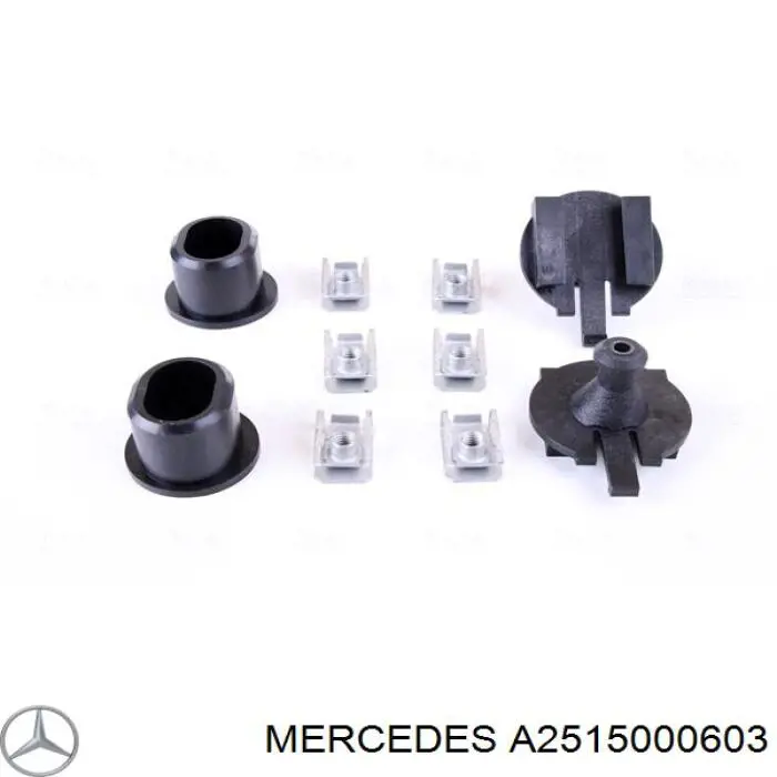 Radiador refrigeración del motor A2515000603 Mercedes
