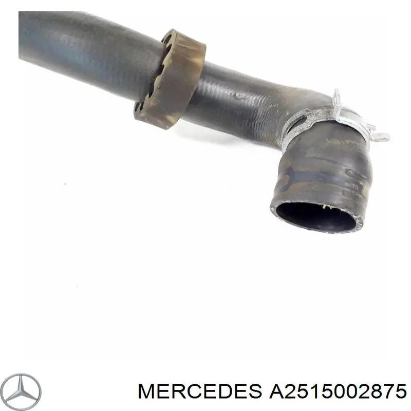  2515002875 Mercedes