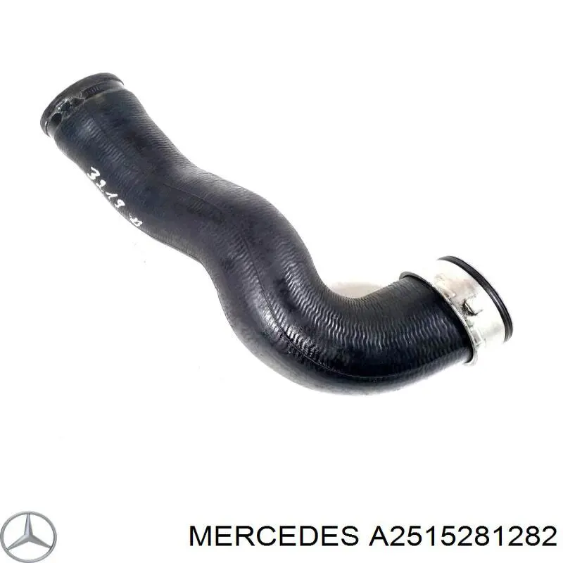 Mangueira (cano derivado) esquerda de intercooler para Mercedes R (W251)