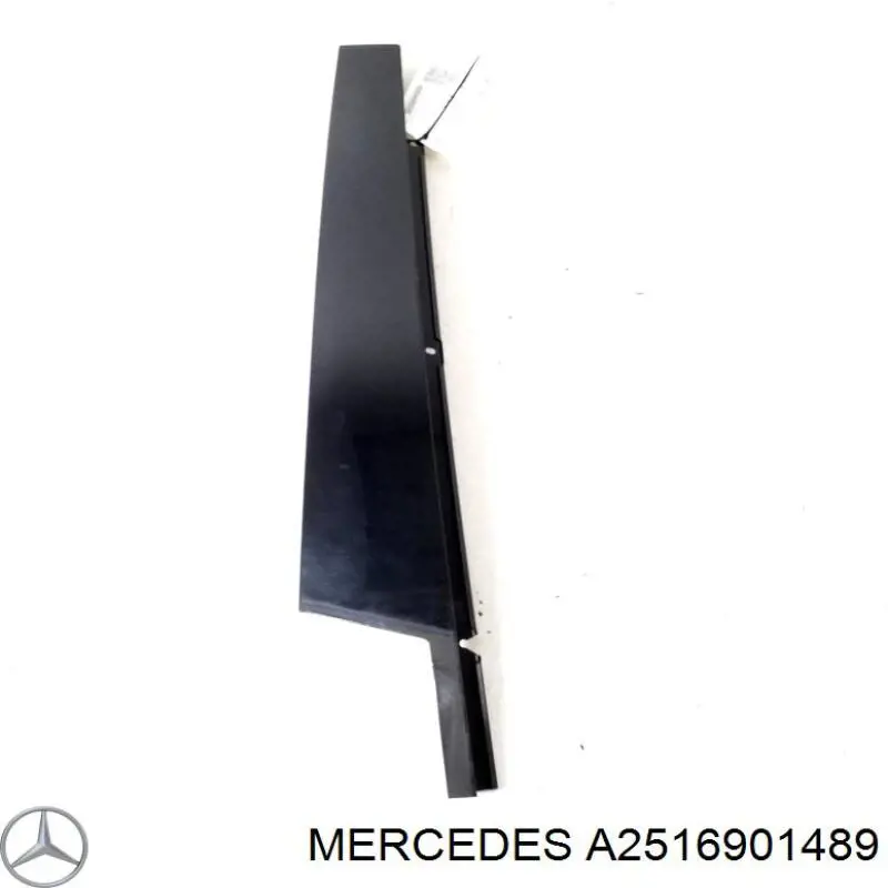  A2516901489 Mercedes