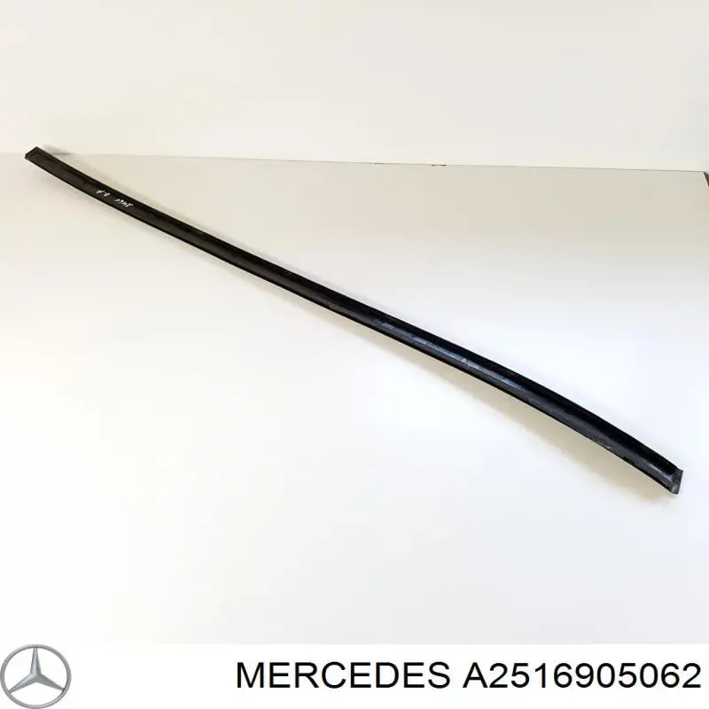  2516905062 Mercedes