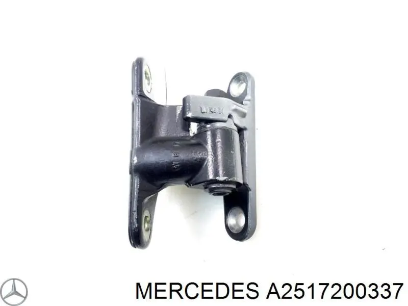 Петля водительской двери Mercedes 2517201537 цена, от 10.14 USD