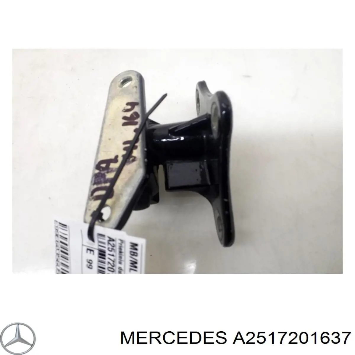 2517200437 Mercedes Завеса двери передней правой