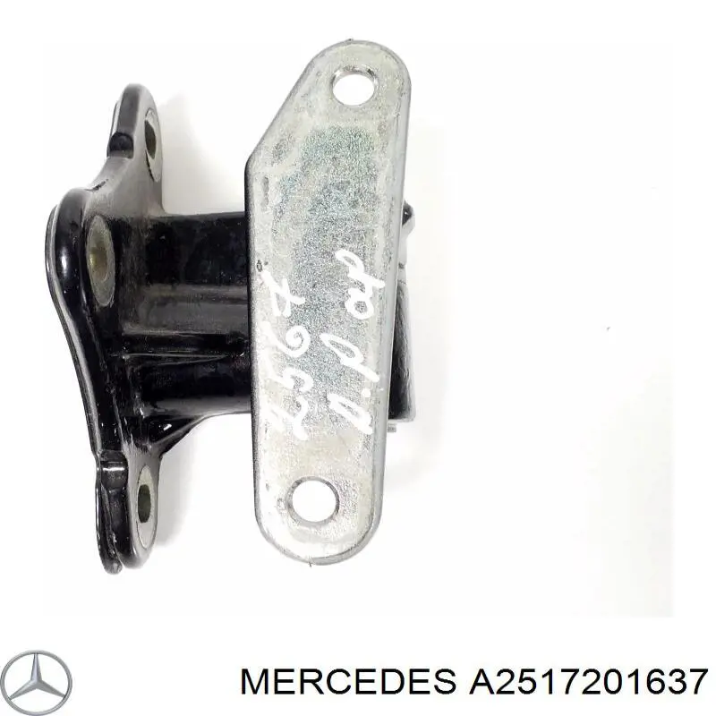 Дверной шарнир правый передний Mercedes 2517200437 цена, от 10.13 USD