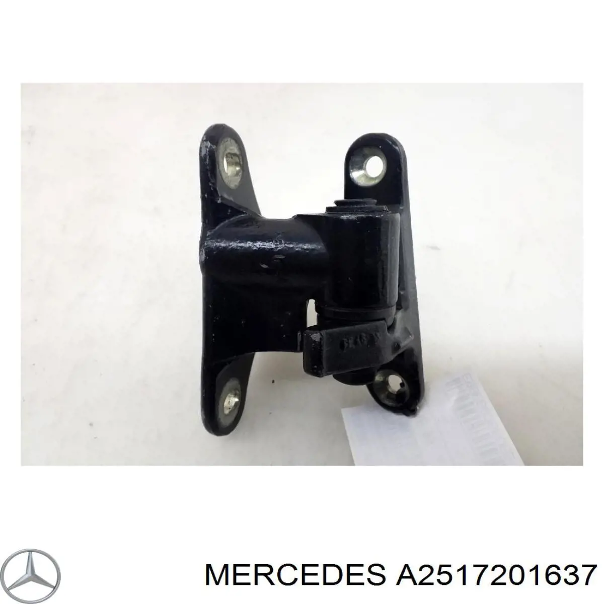 Купить 2517200437 Mercedes Петля передней двери, правой