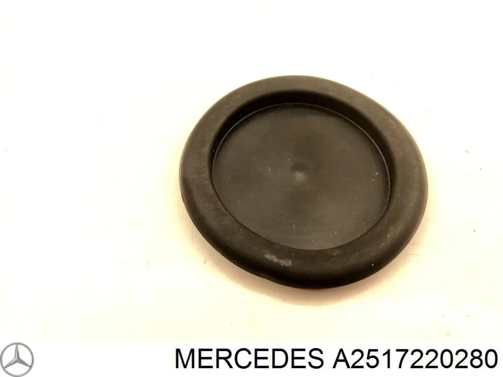  Mercedes A2517220280